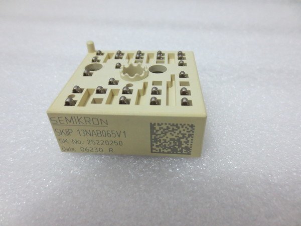 SKIIP13NAB065V1