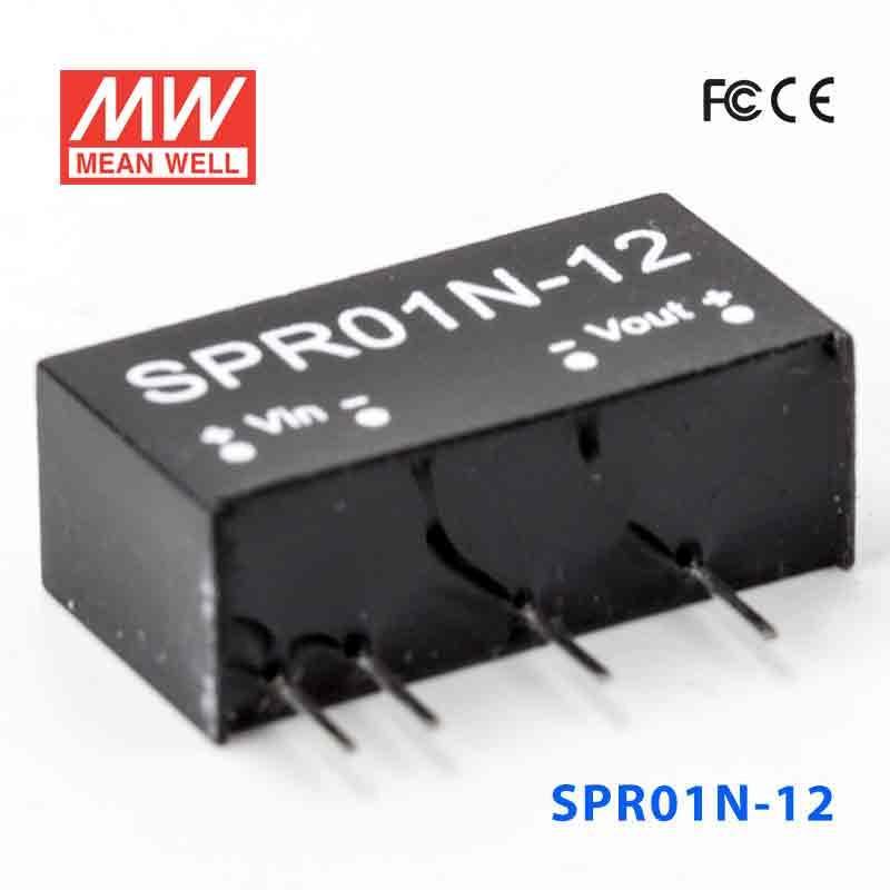 SPR01N-12 CONVERTER MEANWELL BURENDEL